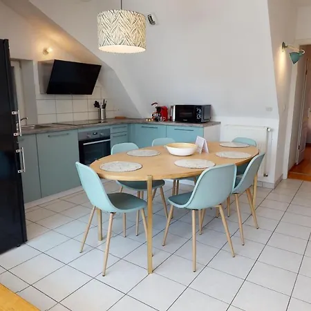 Appartement Duplex Des Dominicains - 1 Parking Gratuit - Hypercentre 6 Personnes Colmar