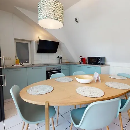 Appartement Duplex Des Dominicains - 1 Parking Gratuit - Hypercentre 6 Personnes Colmar